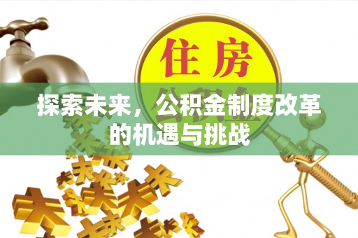 桂平探索未来，公积金制度改革的机遇与挑战