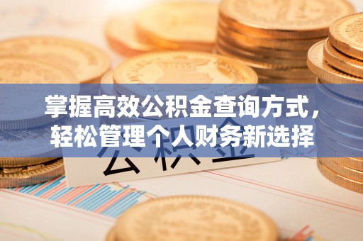 桂平掌握高效公积金查询方式，轻松管理个人财务新选择