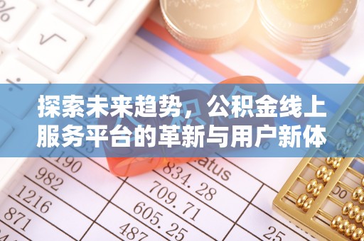 桂平探索未来趋势，公积金线上服务平台的革新与用户新体验