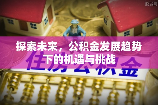 桂平探索未来，公积金发展趋势下的机遇与挑战