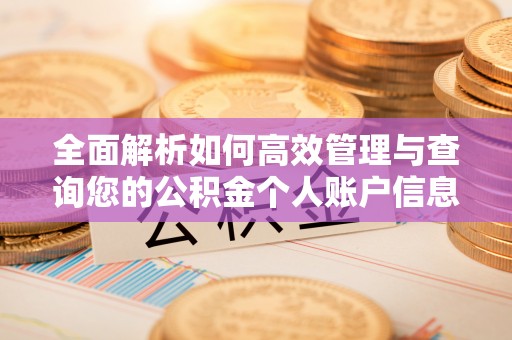 桂平全面解析如何高效管理与查询您的公积金个人账户信息