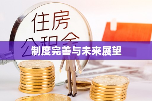 桂平制度完善与未来展望