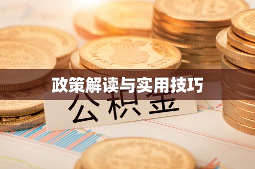 桂平政策解读与实用技巧