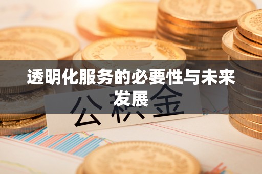 桂平透明化服务的必要性与未来发展