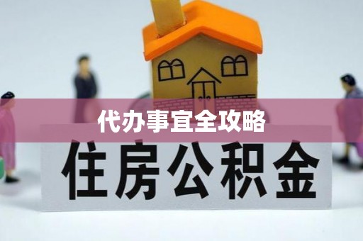 桂平代办事宜全攻略