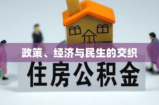 桂平政策、经济与民生的交织