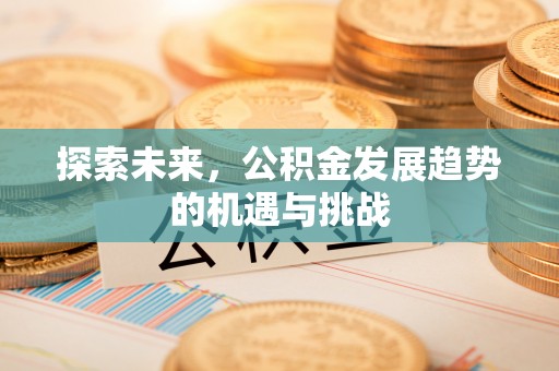 桂平探索未来，公积金发展趋势的机遇与挑战