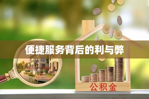 桂平便捷服务背后的利与弊