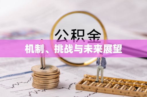 桂平机制、挑战与未来展望