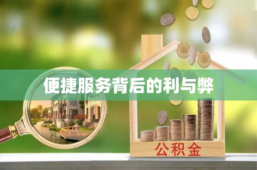 桂平便捷服务背后的利与弊