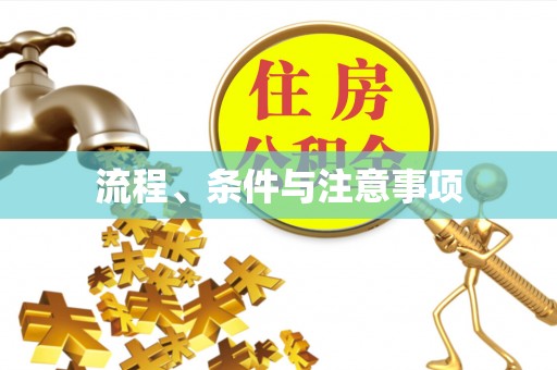 桂平流程、条件与注意事项
